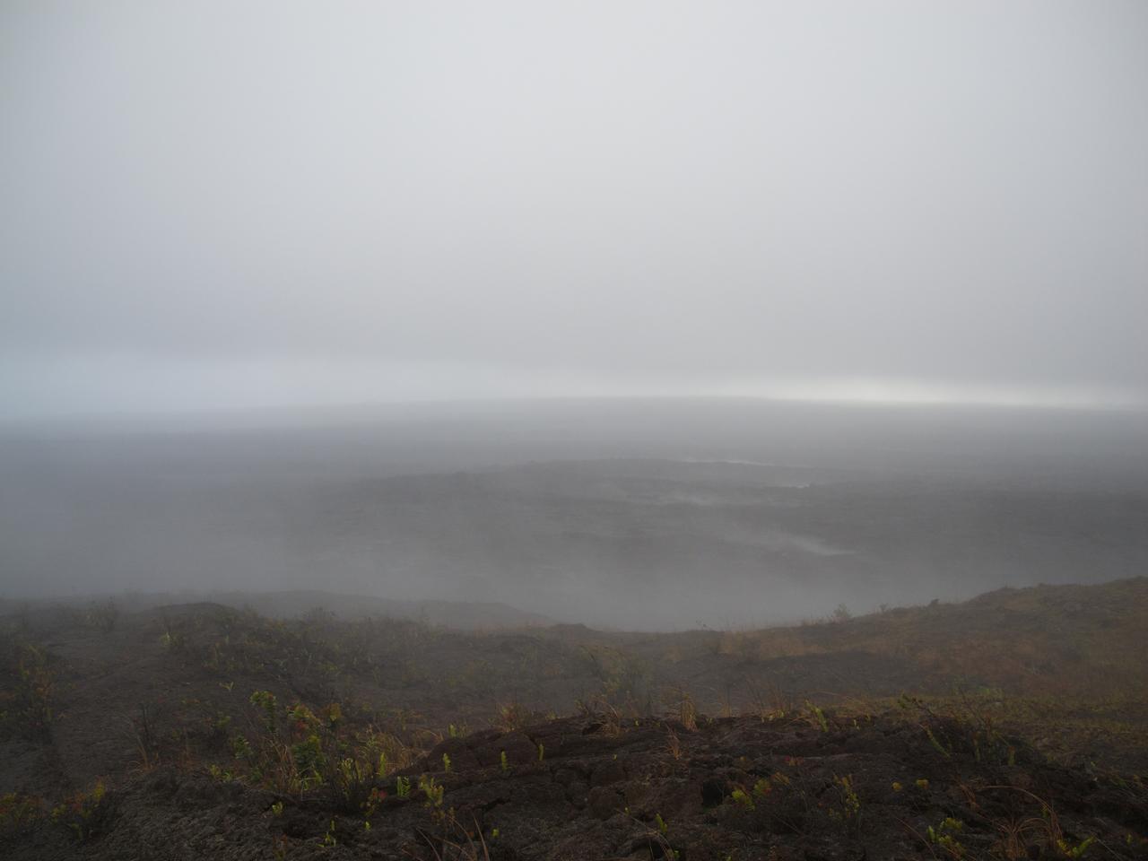 DSCN0279