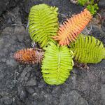 DSCN0283