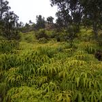 DSCN0284