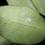 DSCN0292