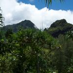 DSCN0382