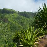 DSCN0391