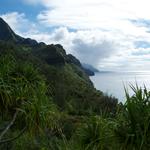 DSCN0397