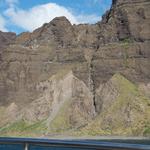 DSCN0420