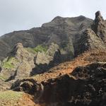 DSCN0438
