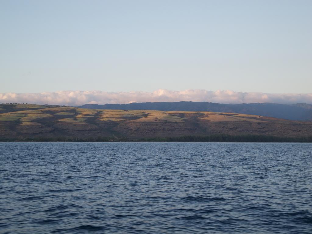 DSCN0485