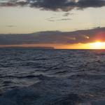 DSCN0486