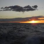 DSCN0487