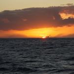 DSCN0492