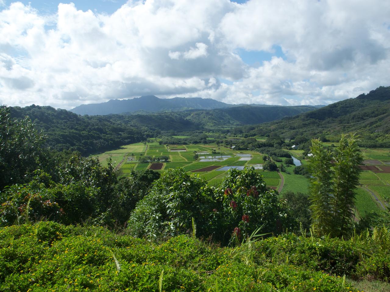 DSCN0500
