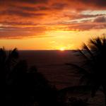 DSCN0528