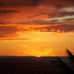 DSCN0529