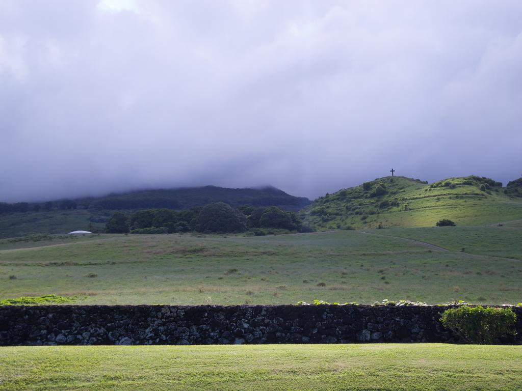 DSCN0531