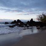 DSCN0541