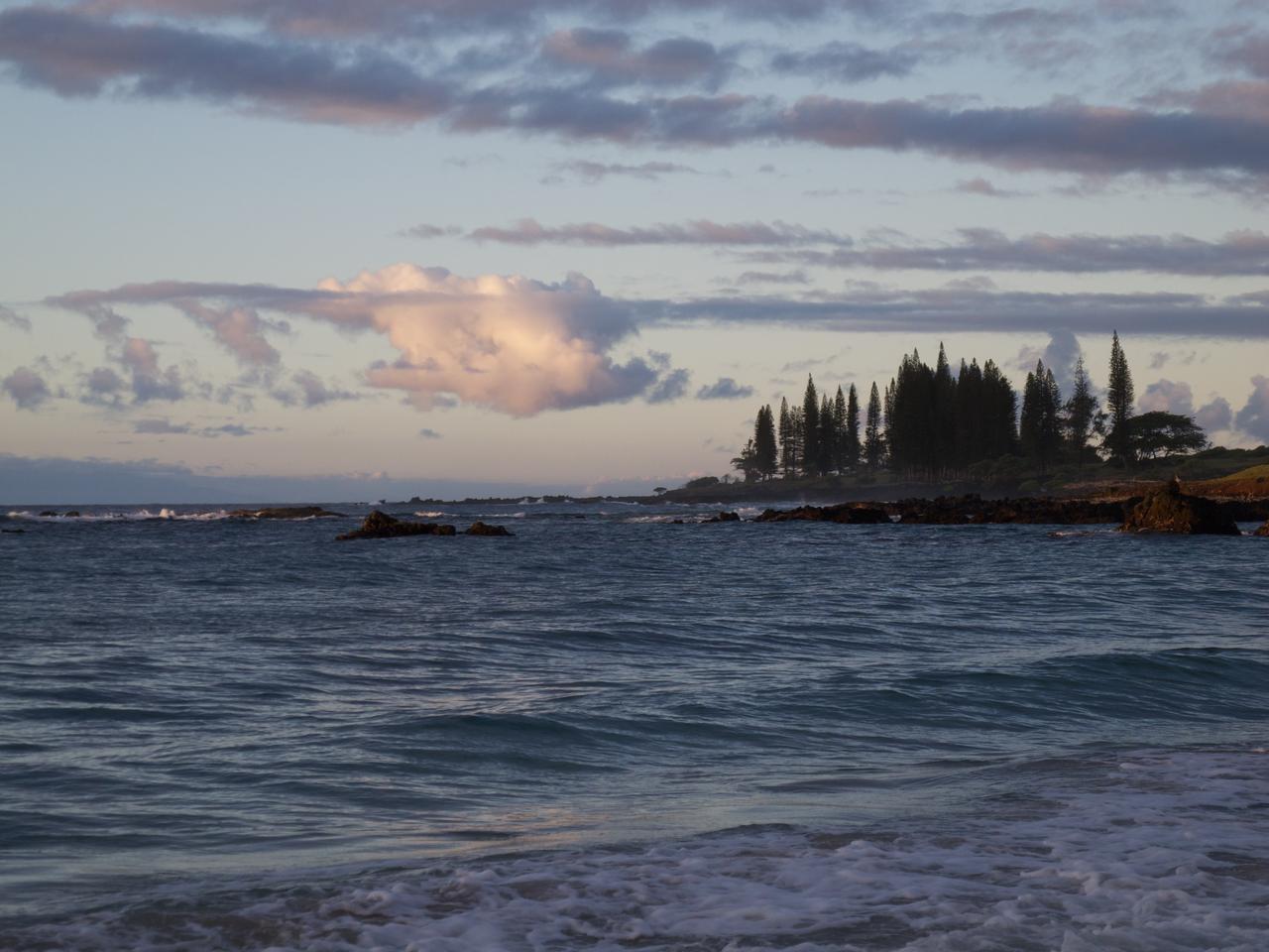 DSCN0548