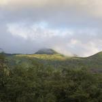 DSCN0555