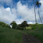 DSCN0566