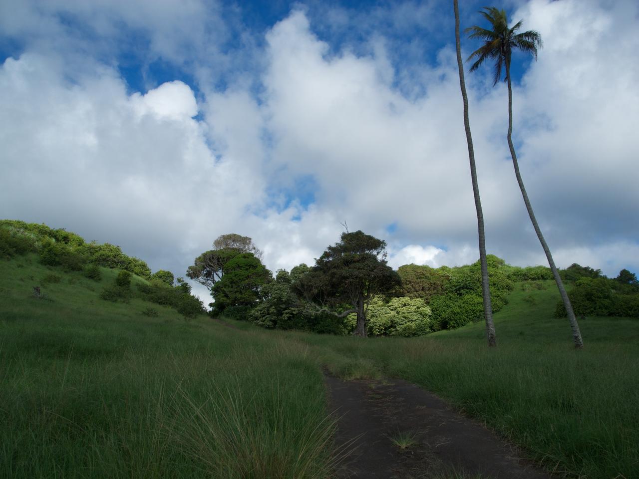 DSCN0566