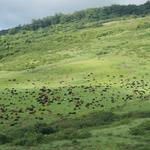 DSCN0567