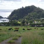 DSCN0572