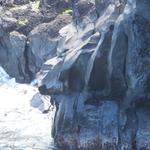 DSCN0579