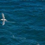 DSCN0583