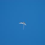 DSCN0585