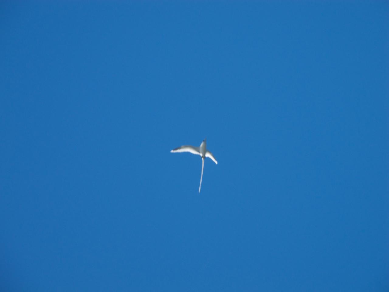 DSCN0585