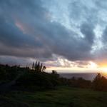DSCN0608