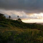 DSCN0611