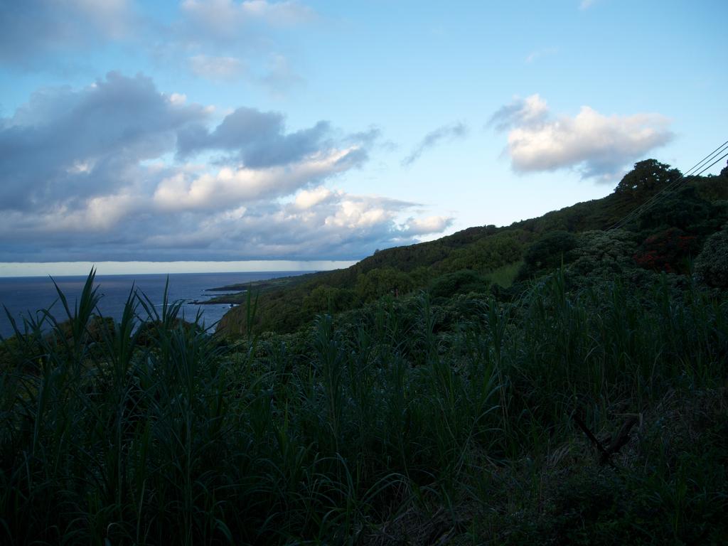 DSCN0614