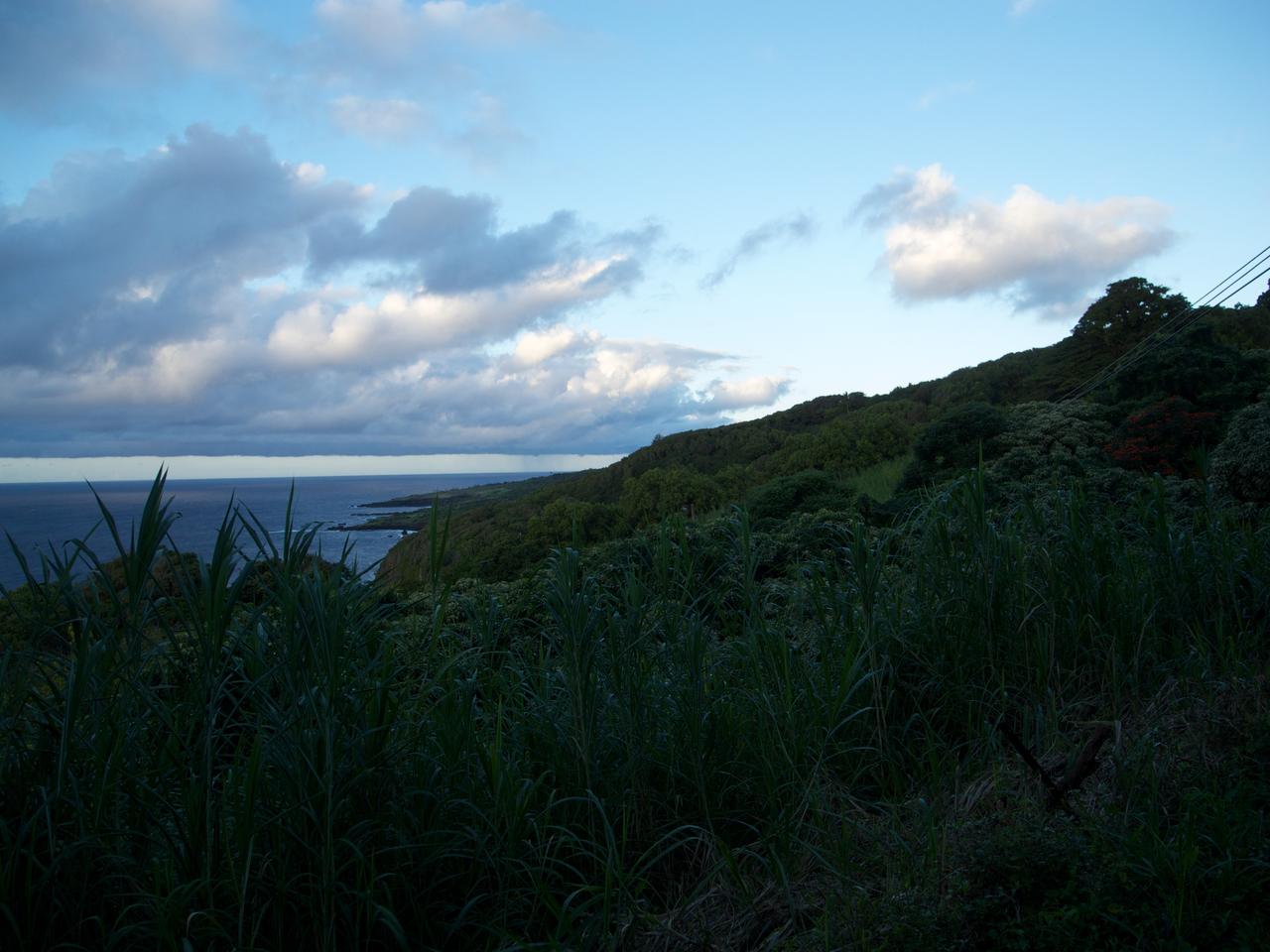 DSCN0614