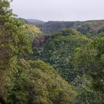 DSCN0615