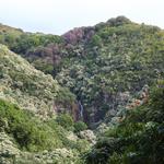 DSCN0616