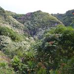 DSCN0617