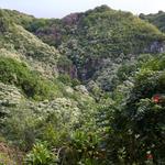 DSCN0618