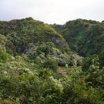 DSCN0619