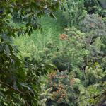 DSCN0627