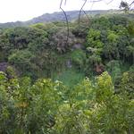 DSCN0628