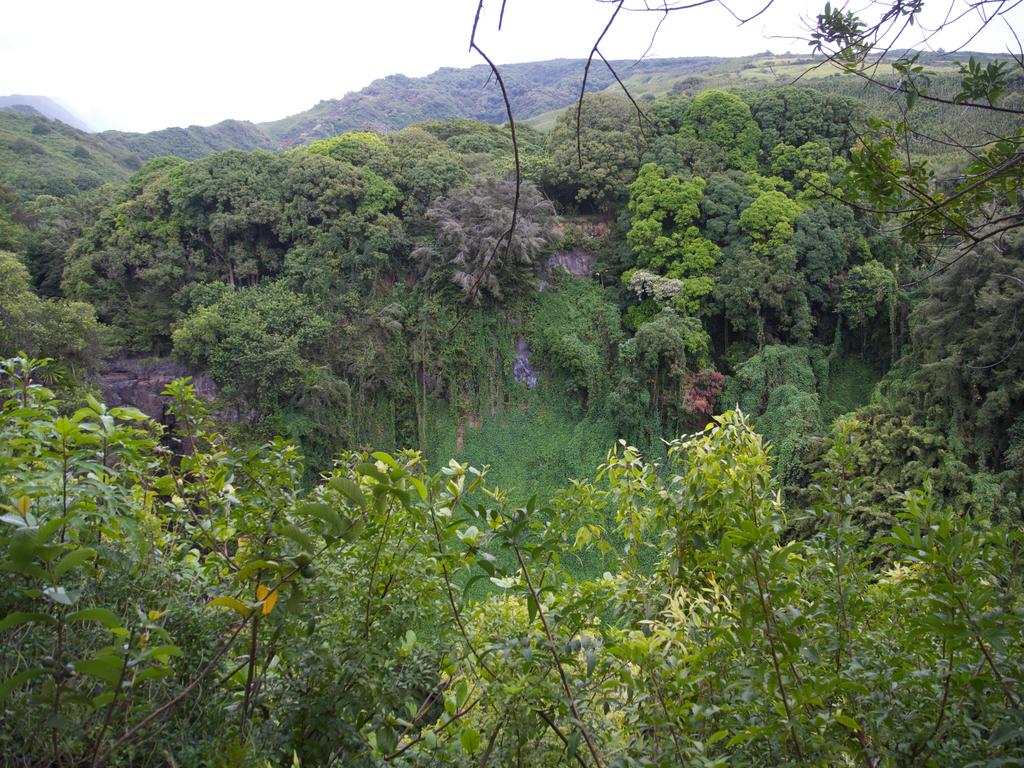 DSCN0628