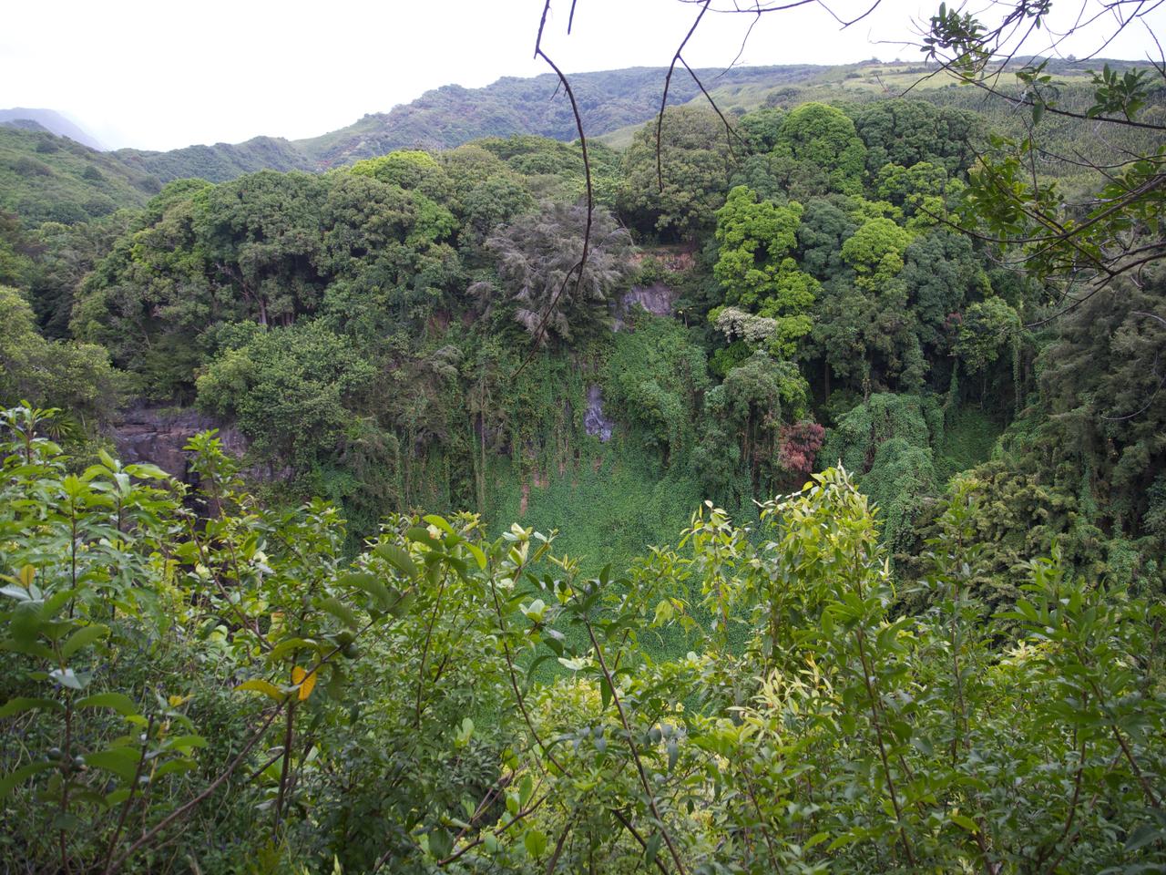 DSCN0628