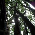 DSCN0632