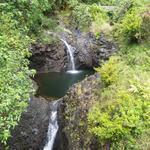 DSCN0636