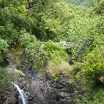 DSCN0638