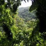 DSCN0646