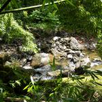 DSCN0647