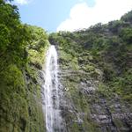 DSCN0650