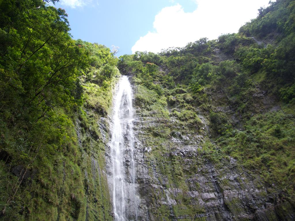 DSCN0650