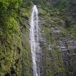 DSCN0651