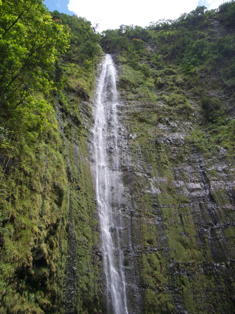 DSCN0651